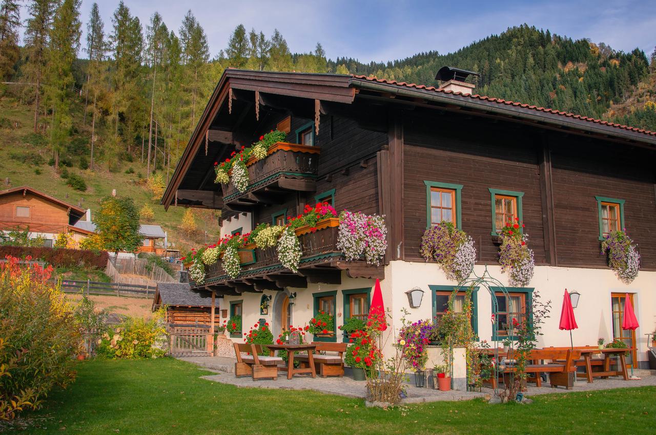 Апартаменты Brotzeitalm Пфаррверфен Экстерьер фото